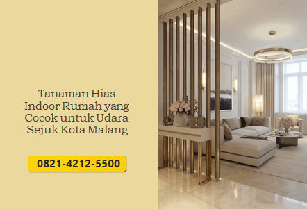 Tanaman Hias Indoor Rumah yang Cocok untuk Udara Sejuk Kota Malang