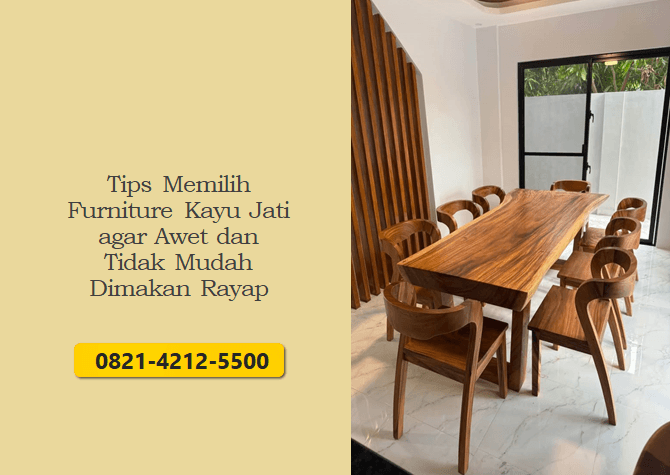 Tips Memilih Furniture Kayu Jati agar Awet dan Tidak Mudah Dimakan Rayap