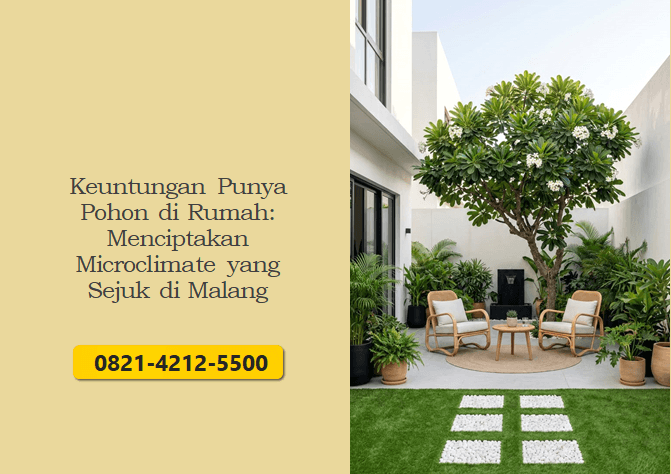 Keuntungan Punya Pohon di Rumah: Menciptakan Microclimate yang Sejuk di Malang