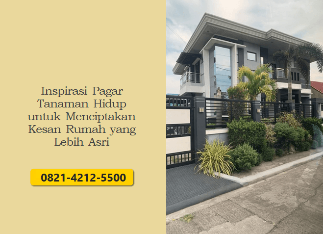 Inspirasi Pagar Tanaman Hidup untuk Menciptakan Kesan Rumah yang Lebih Asri
